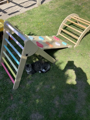 Toddler climbing frame - toddler,